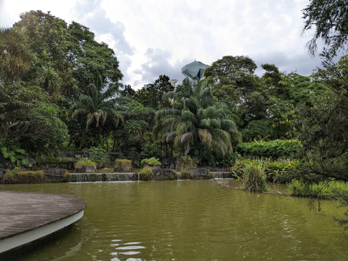 wide angle shot of a grove and lake taken with google pixel 6a