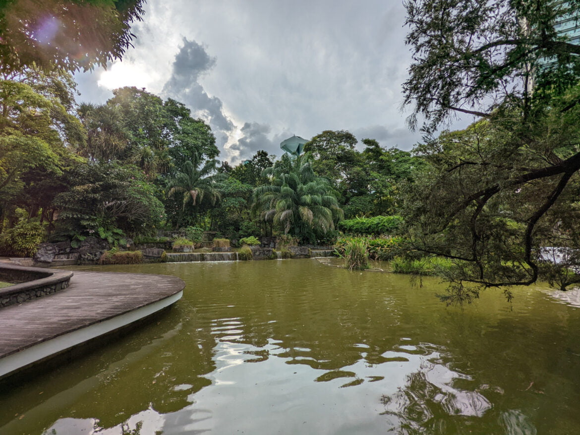 ultra wide angle shot of a grove and lake taken with google pixel 6a